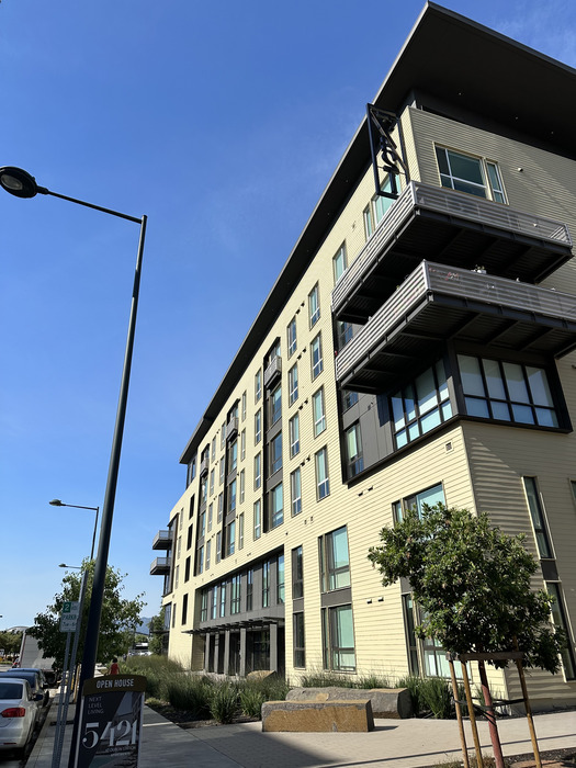 Project Image 16